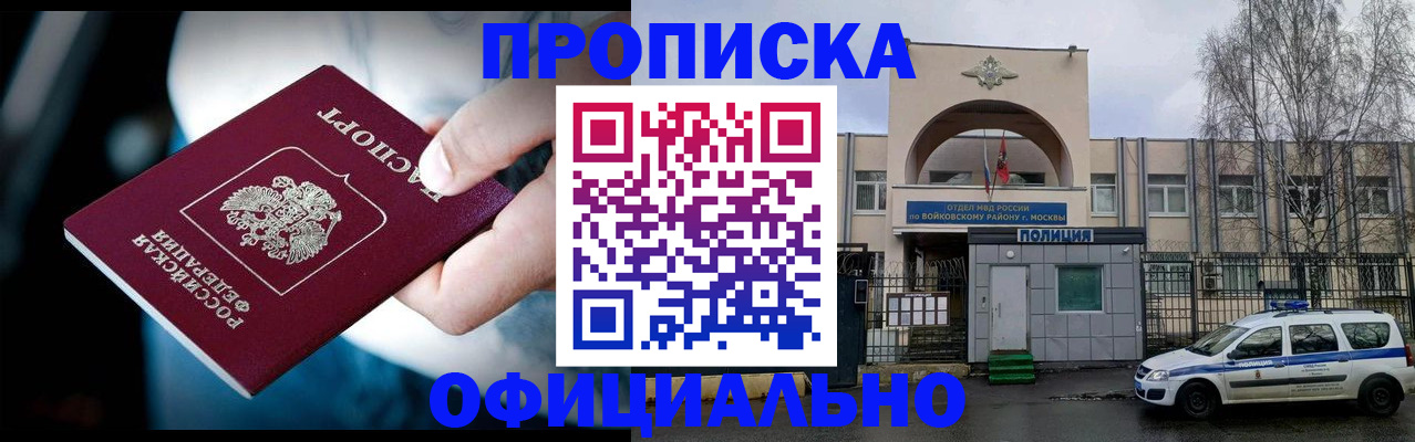 прописка 2025 в Светлогорске